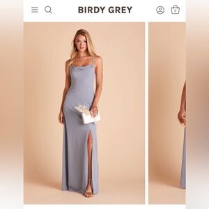 Birdy Grey Ash Dress (Crepe- Dusty Blue)